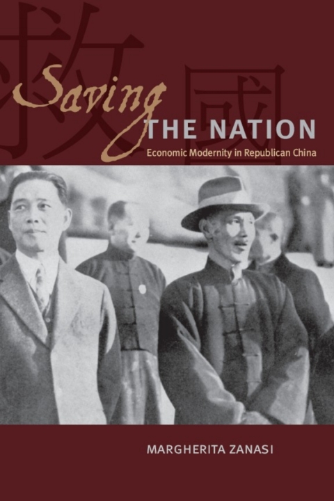 Cover image for book Saving the Nation