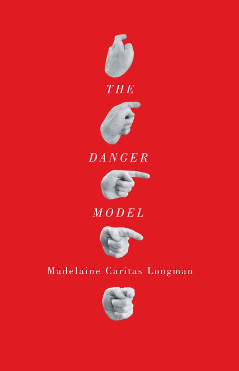 Cover image for book The Danger Model