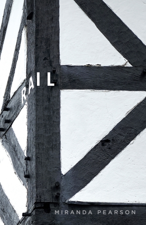 Cover image for book Rail