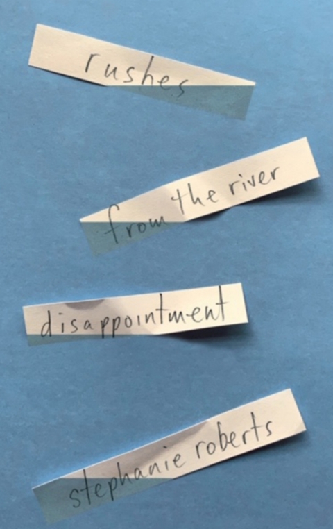 Cover image for book rushes from the river disappointment