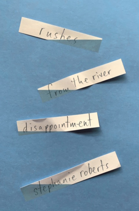 Cover image for book rushes from the river disappointment