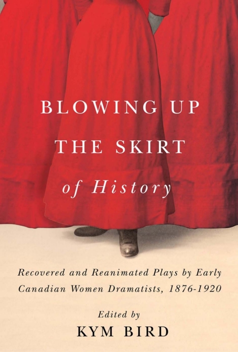 Cover image for book Blowing up the Skirt of History