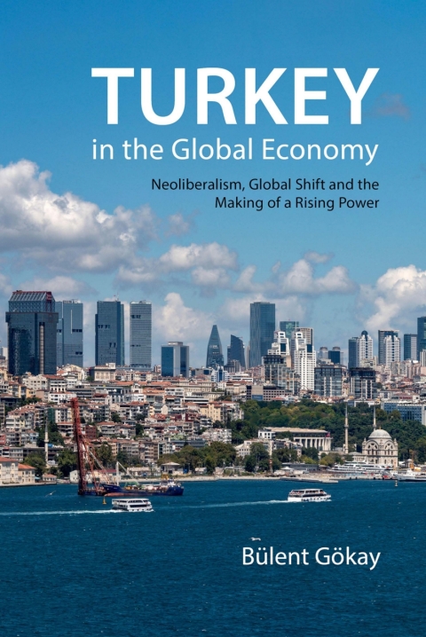 Cover image for book Turkey in the Global Economy