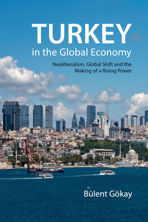 Cover image for book Turkey in the Global Economy