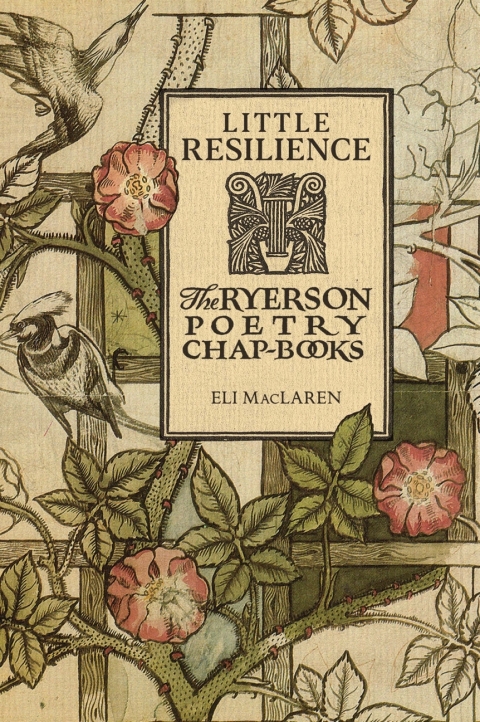 Cover image for book Little Resilience