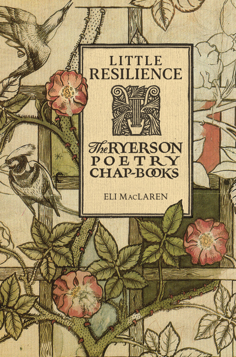 Cover image for book Little Resilience