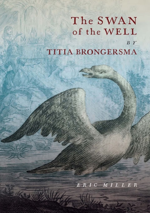 Cover image for book Swan of the Well by Titia Brongersma