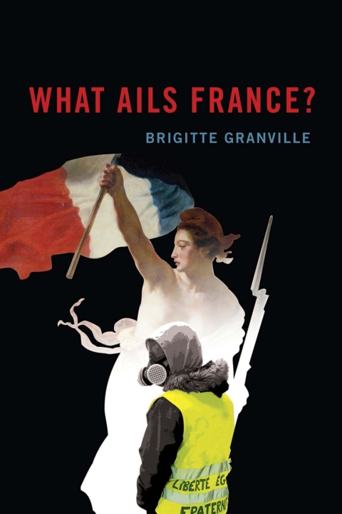 Cover image for book What Ails France?