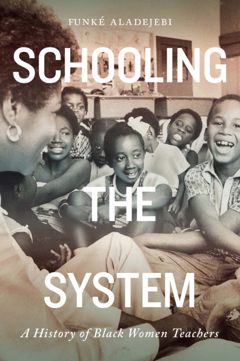 Cover image for book Schooling the System