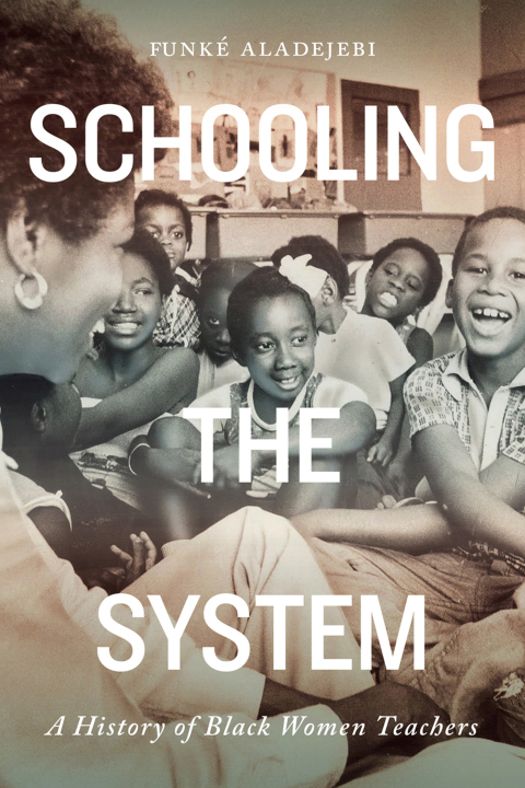 Cover image for book Schooling the System