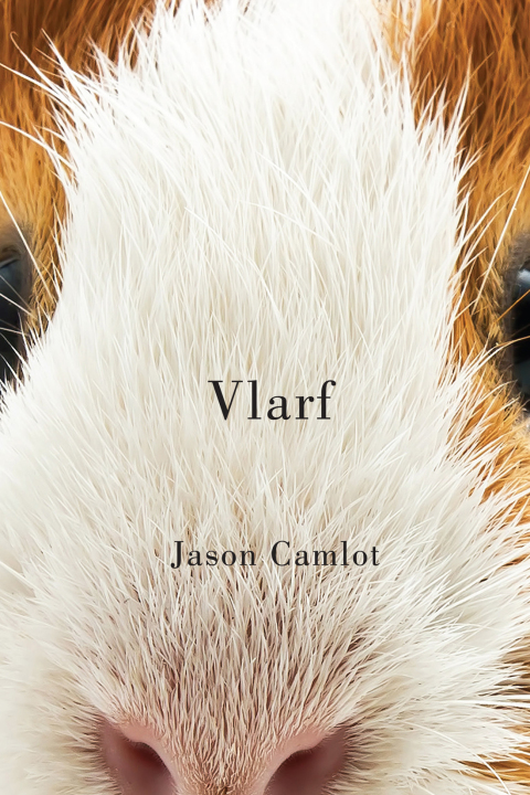 Cover image for book Vlarf