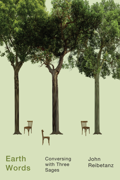 Cover image for book Earth Words