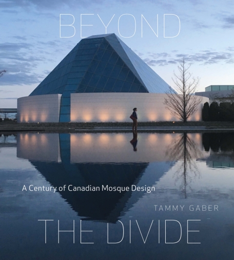 Cover image for book Beyond the Divide