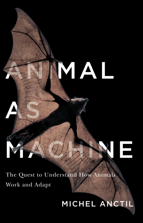 Cover image for book Animal as Machine