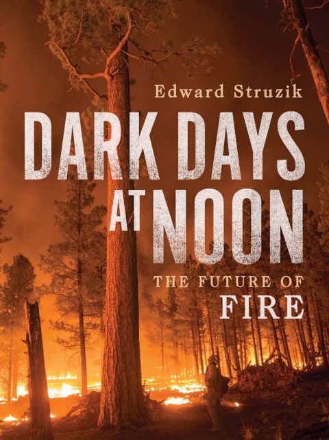 Cover image for book Dark Days at Noon