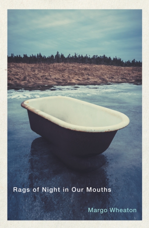 Cover image for book Rags of Night in Our Mouths
