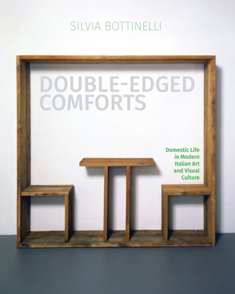 Cover image for book Double-Edged Comforts