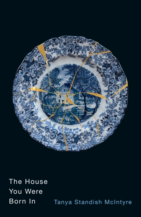 Cover image for book The House You Were Born In