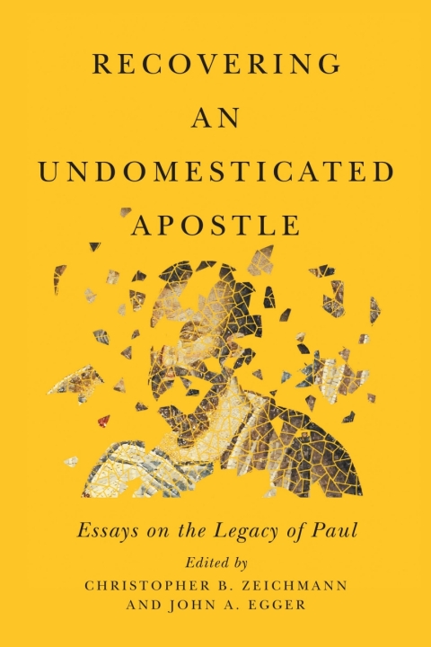 Cover image for book Recovering an Undomesticated Apostle