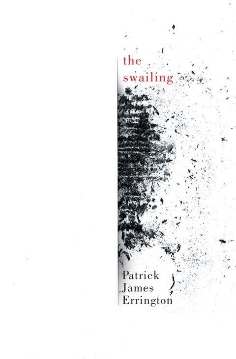 Cover image for book The swailing
