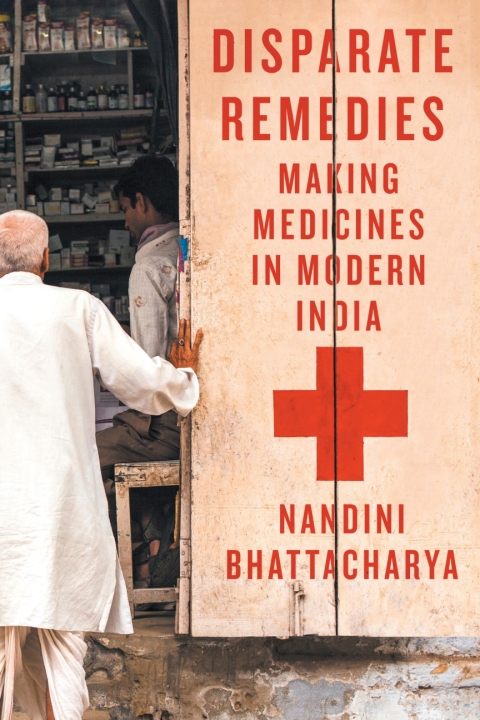 Cover image for book Disparate Remedies
