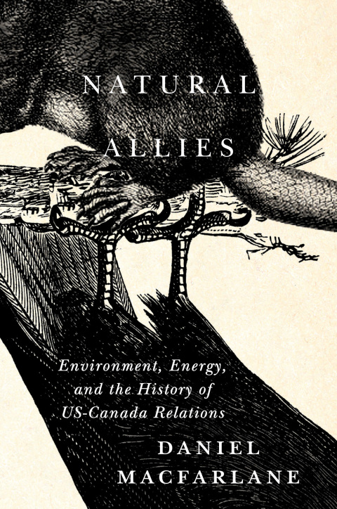 Cover image for book Natural Allies