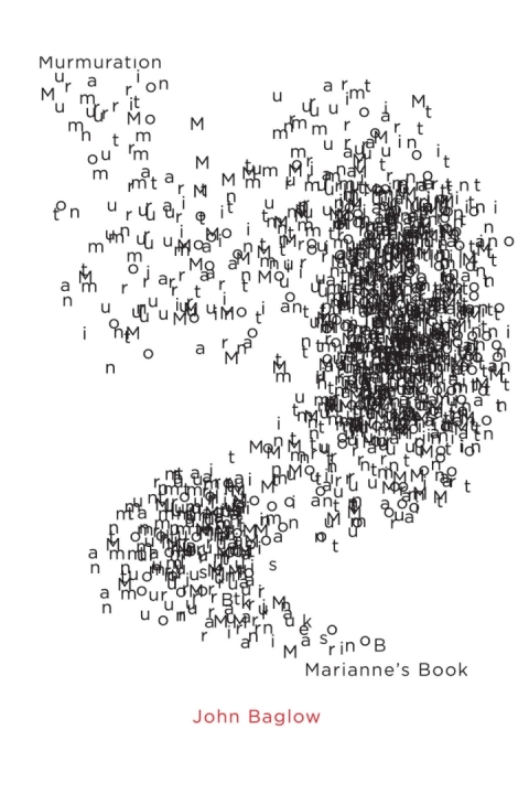 Cover image for book Murmuration