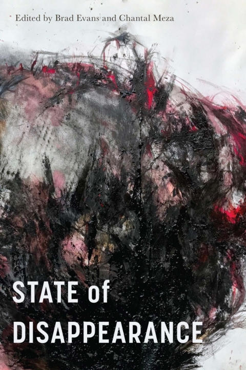 Cover image for book State of Disappearance