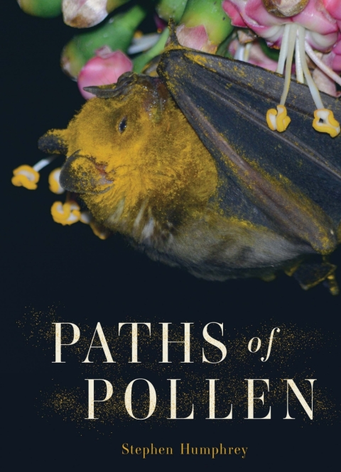Cover image for book Paths of Pollen