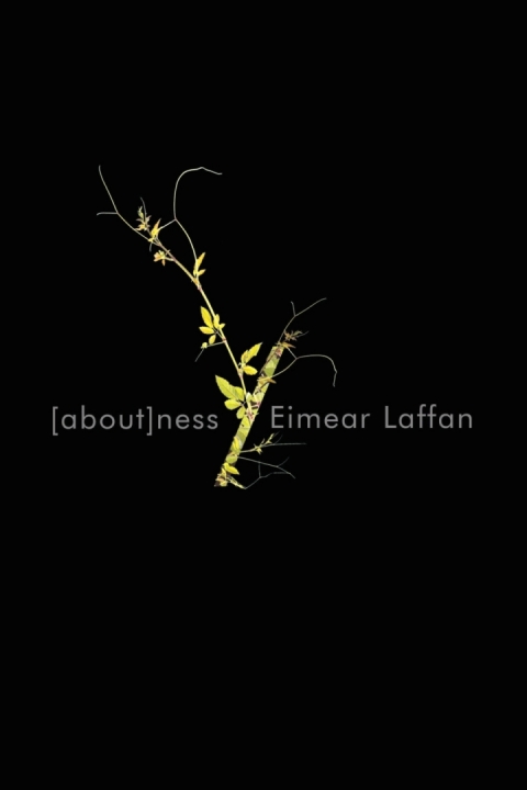 Cover image for book aboutness