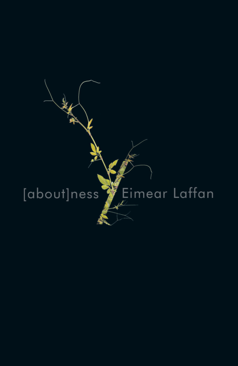 Cover image for book aboutness