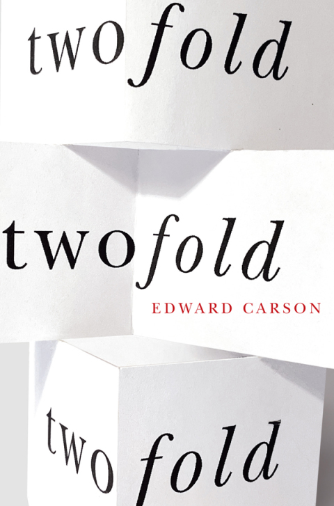 Cover image for book twofold