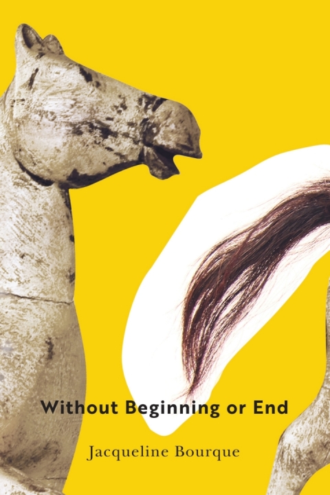 Cover image for book Without Beginning or End