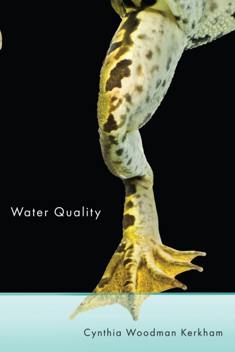 Cover image for book Water Quality