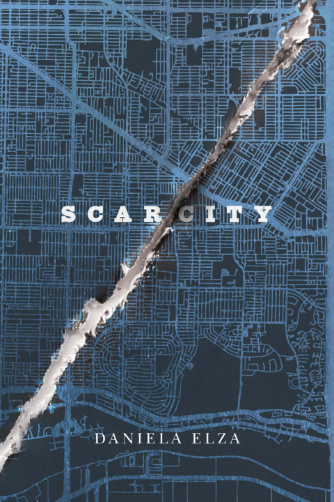 Cover image for book SCAR/CITY