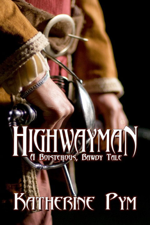 Cover image for book Highwayman