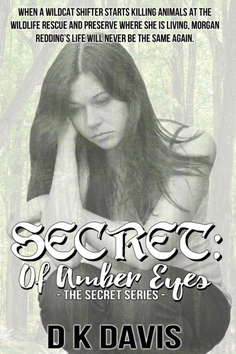Cover image for book Secret: Of Amber Eyes
