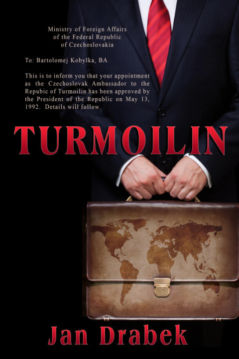 Cover image for book Turmoilin