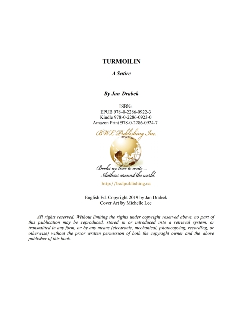 Cover image for book Turmoilin