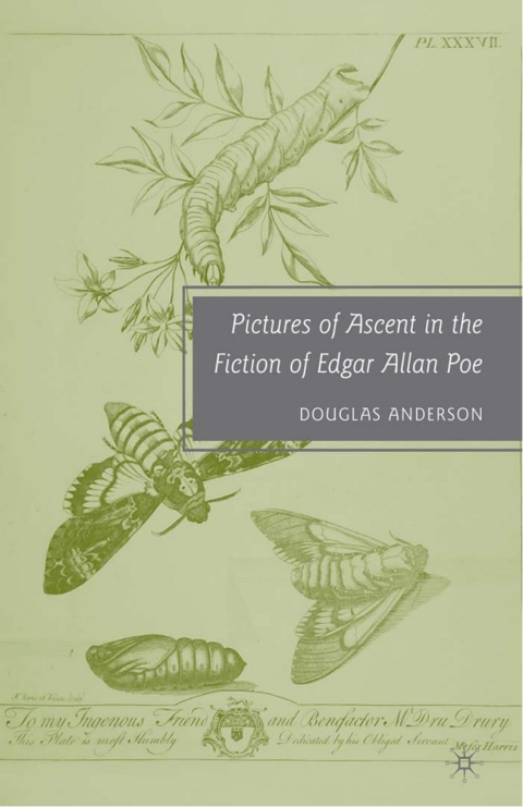 Cover image for book Pictures of Ascent in the Fiction of Edgar Allan Poe