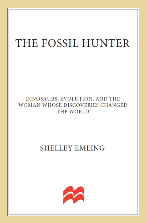 Cover image for book The Fossil Hunter