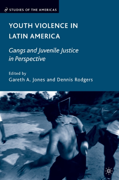 Cover image for book Youth Violence in Latin America