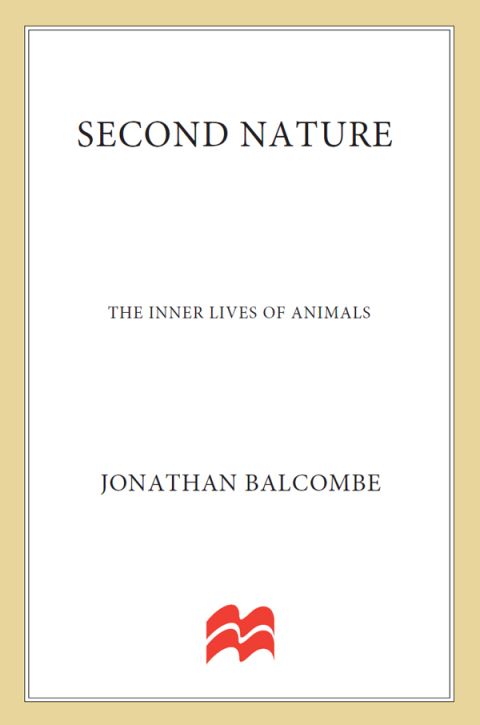 Cover image for book Second Nature
