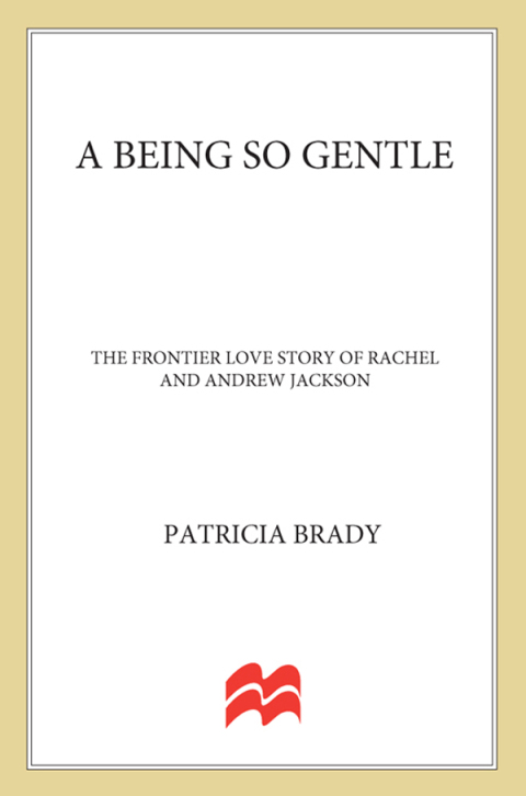 Cover image for book A Being So Gentle