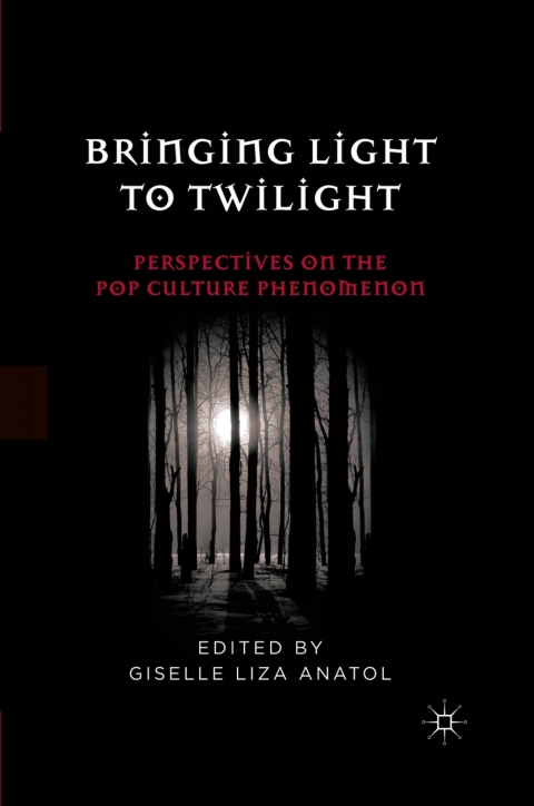 Cover image for book Bringing Light to Twilight