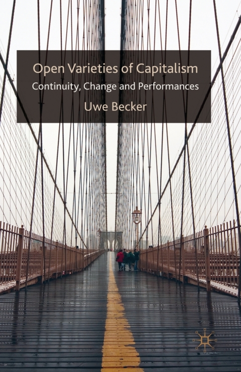 Cover image for book Open Varieties of Capitalism