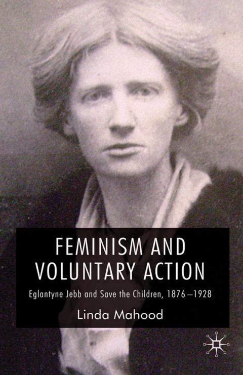Cover image for book Feminism and Voluntary Action