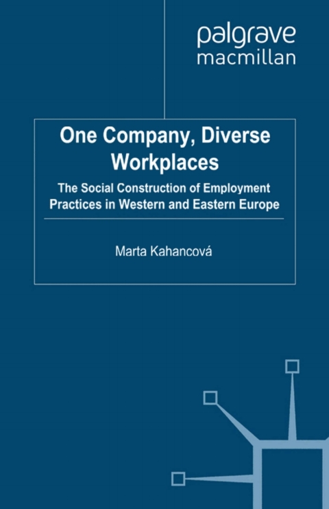 Cover image for book One Company, Diverse Workplaces