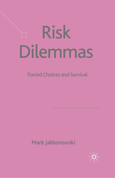 Cover image for book Risk Dilemmas
