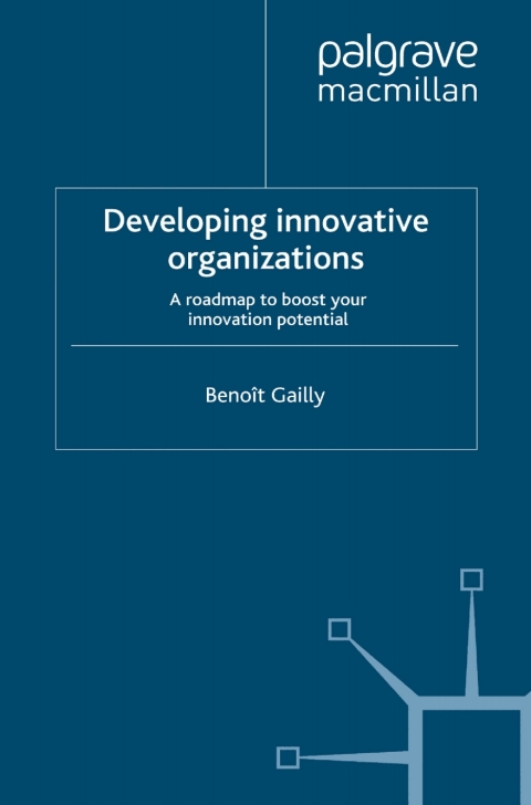 Cover image for book Developing Innovative Organizations